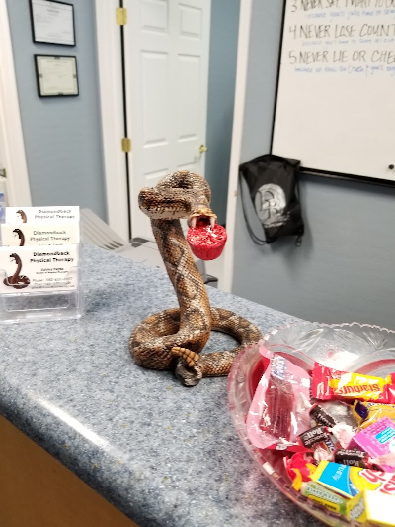 Diamondback Physical Therapy — featured photo