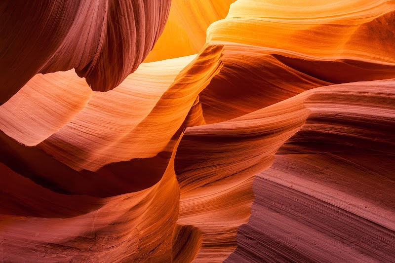 Nelson H. Lim MD, LLC — photo