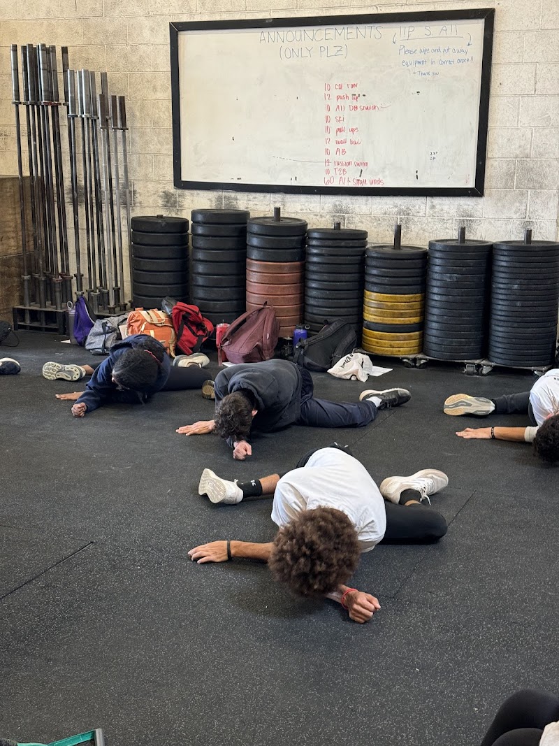 Fenix Physical Therapy And Performance — photo 5