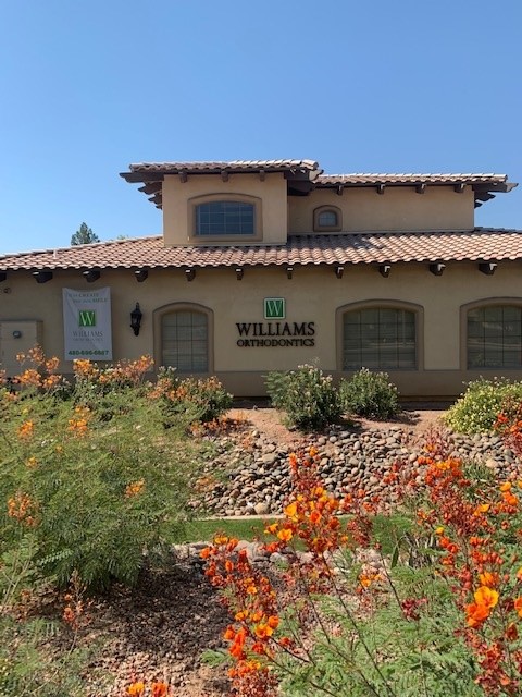 AZ Gw Ortho LLC — photo 2