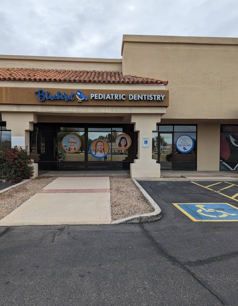 Bluebird Pediatric Dentistry PLLC — photo 2
