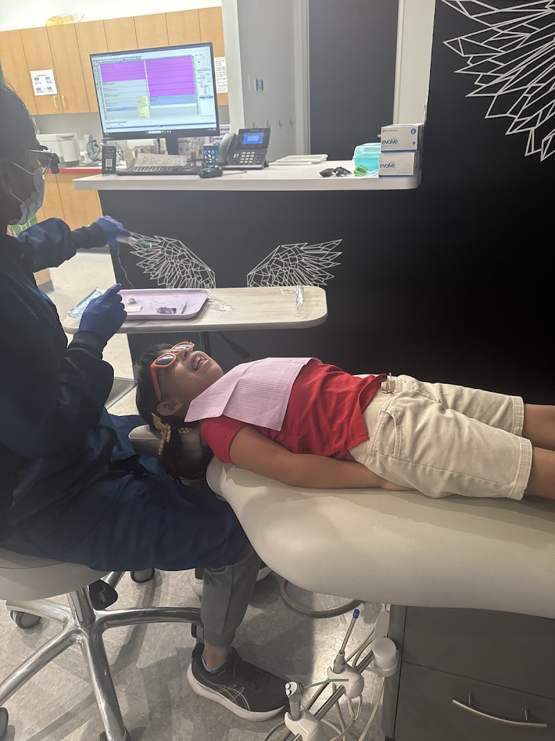 Bluebird Pediatric Dentistry PLLC — photo 4