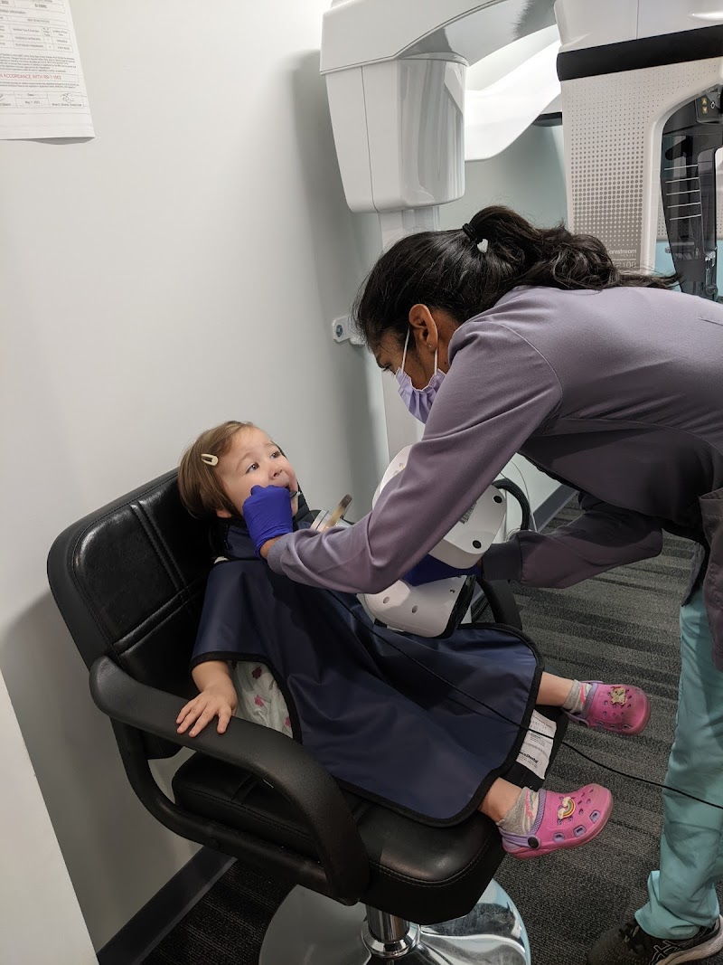 Bluebird Pediatric Dentistry PLLC — photo 5