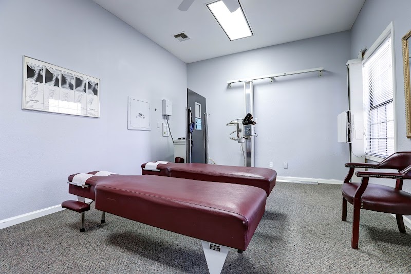 Springbok Chiropractic — photo 4
