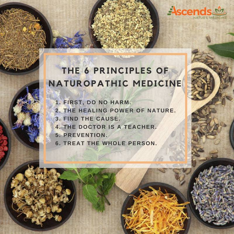 Ascends Natural Medicine — photo 5