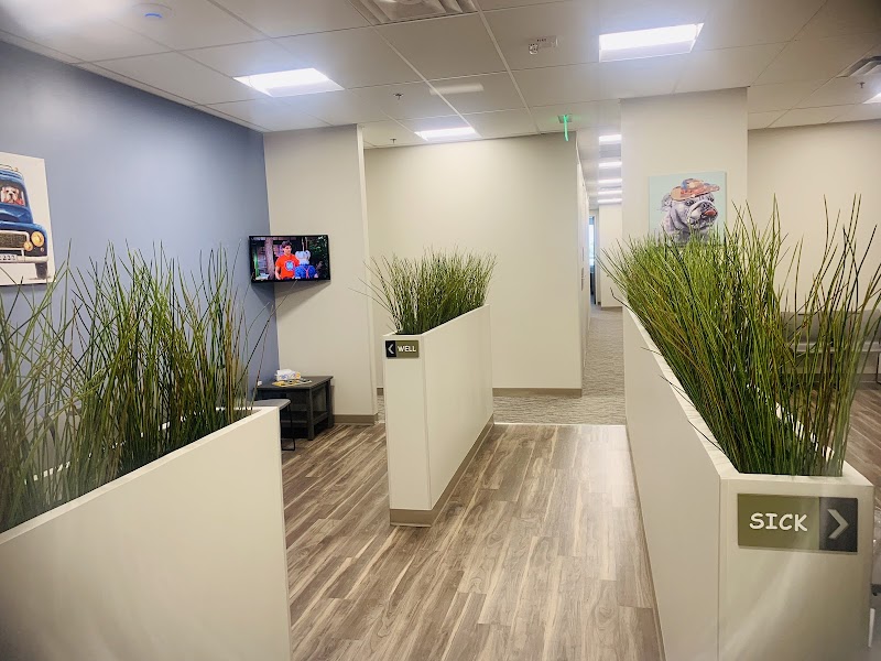 Arbor Pediatrics - Gilbert — photo 3