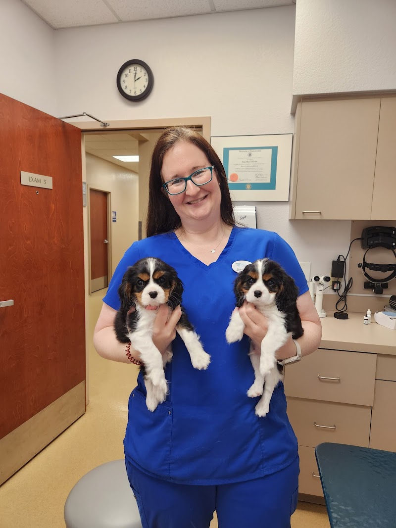 Eye Care For Animals - Gilbert — photo 4