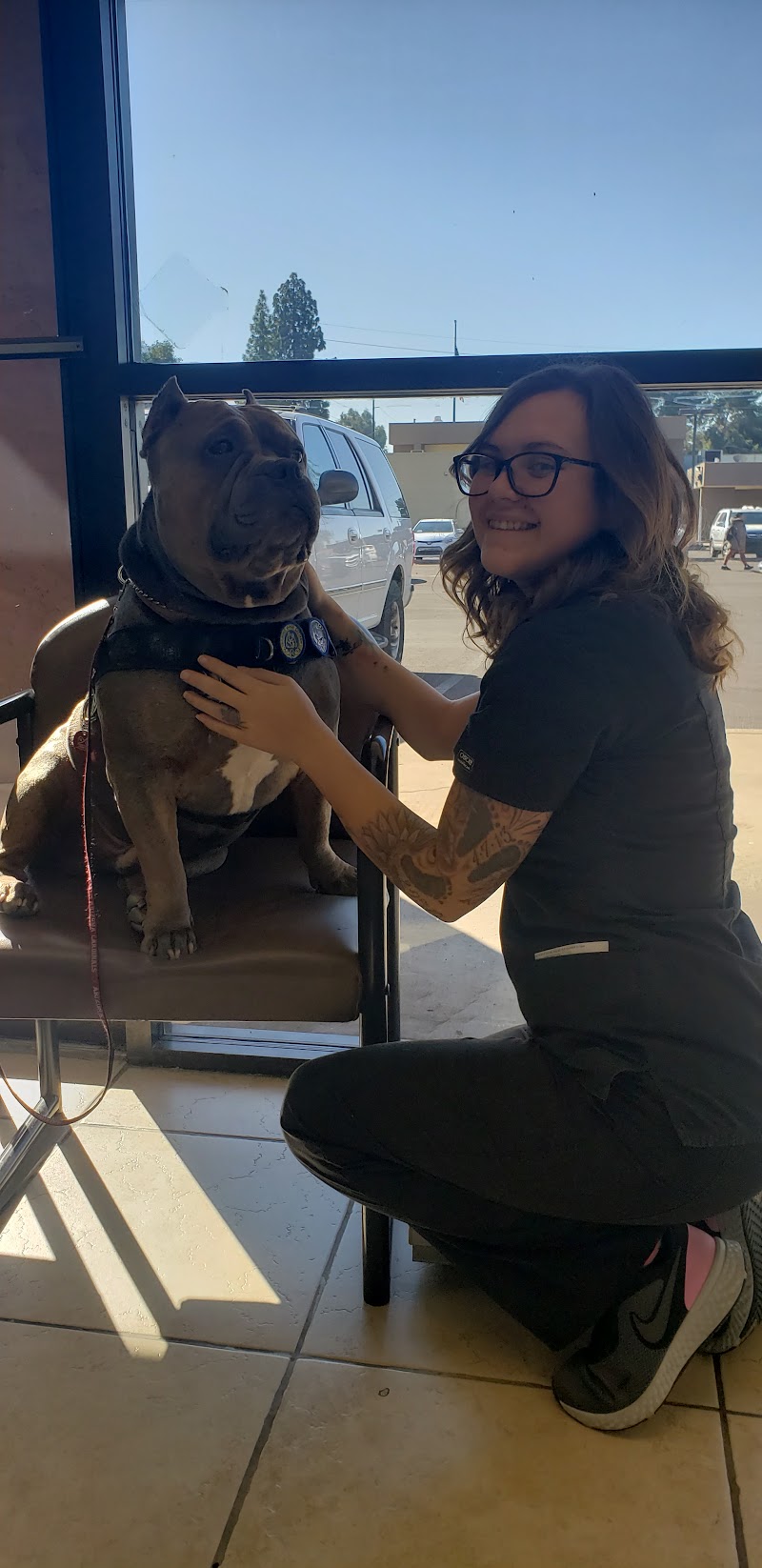 Eye Care For Animals - Gilbert — photo 5